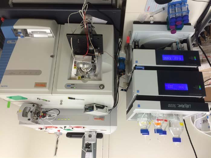 Analytical setup Thermo Dionex RSLCNano UPLC and Autosampler Thermo Orbitrap Elite Self-pulled 360 µm OD x 75 µm ID column with ~10 µm tip Self-packed 10-15 cm long, 3 µm C18-AQ Reprosil (Dr.