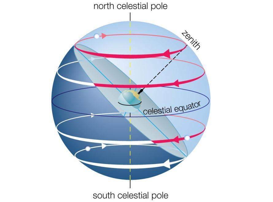 Our View from Earth: Stars near the north celestial pole are circumpolar and never set. We cannot see stars near the south celestial pole.