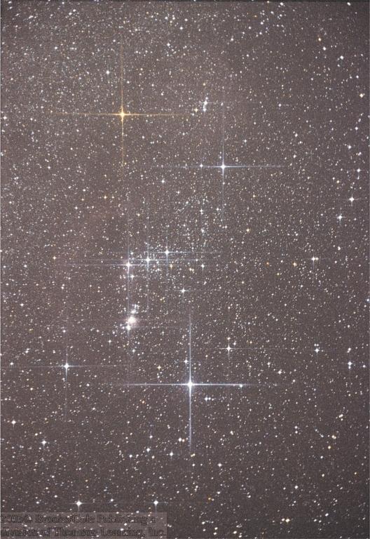 Orion Betelgeuze Constellations Rigel Stars are named by a