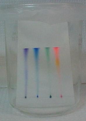Chromatograms Place the strips in the beakers Make sure the solution does not come above your start line Keep the beakers