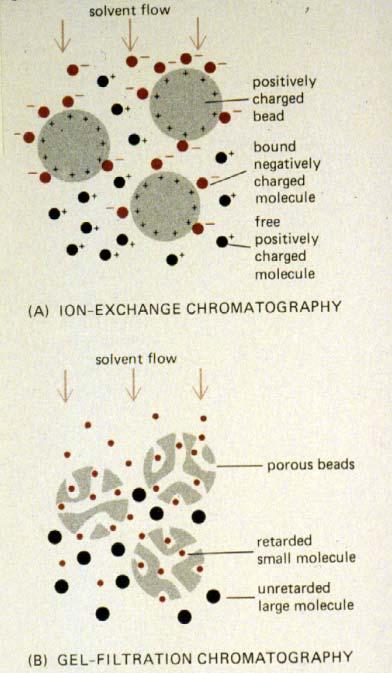 Types of Chromatography Liquid Chromatography separates liquid samples with a liquid solvent (mobile phase) and a column composed of solid beads (stationary phase) Gas Chromatography separates