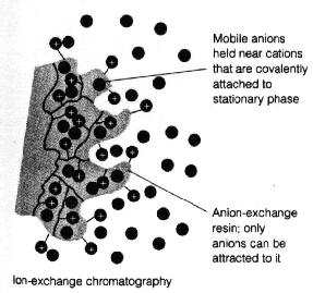 Ion Exchange Chromatography In this type of chromatography, the use of a resin (the stationary solid phase) is used to covalently attach anions or cations onto it.