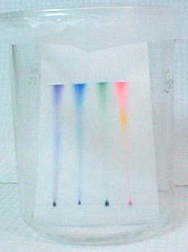 Principles of Paper Chromatography Capillary Action the movement of liquid within the spaces of a porous material due to the forces of adhesion, cohesion, and surface tension.