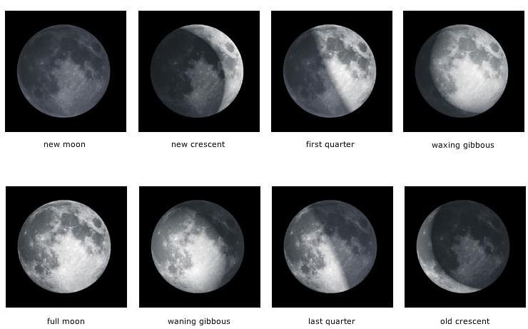 Phases of the Moon 1. Half ( %) 50 of the moon is always in sunlight. 2.