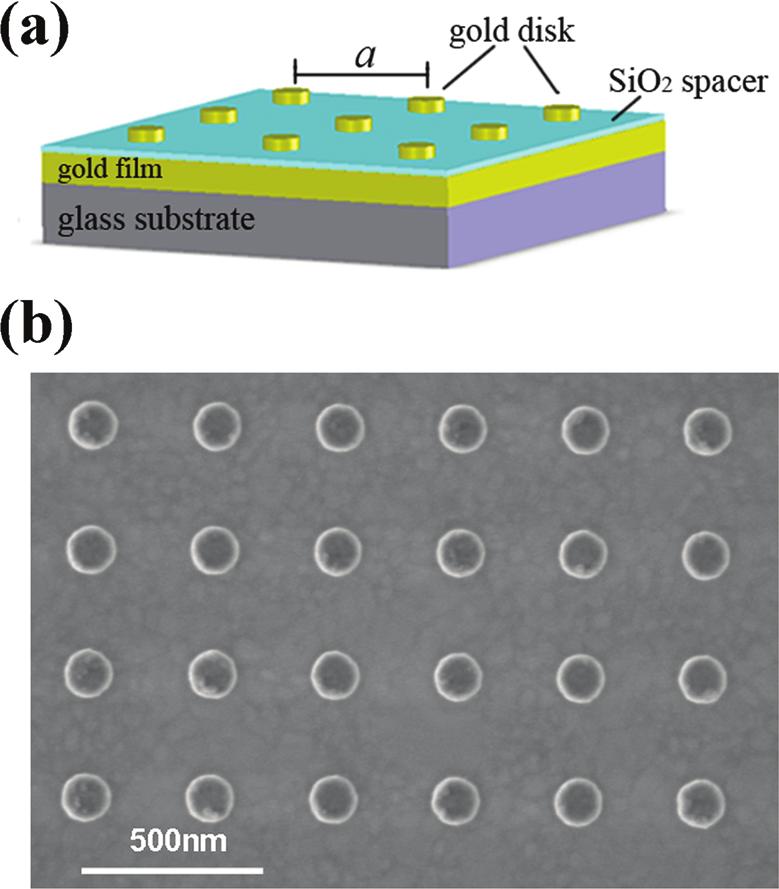 ARTICLE glass substrate.22 This is due to the interaction between the localized surface plasmon on the gold disk and its image excited in the gold film.