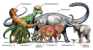 5 th Mass Extinction The dinosaurs appeared about 245 million years ago. They flourished during the Jurassic Period.