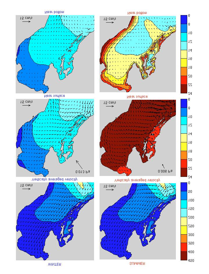 Lynch, D. R., J. T. C. Ip, C. E. Naimie, and F. E. Werner, 1996: Comprehensive coastal circulation model with application to the Gulf of Maine. Cont. Shelf. Res., 16, 875-906. Poulain, P.-M.