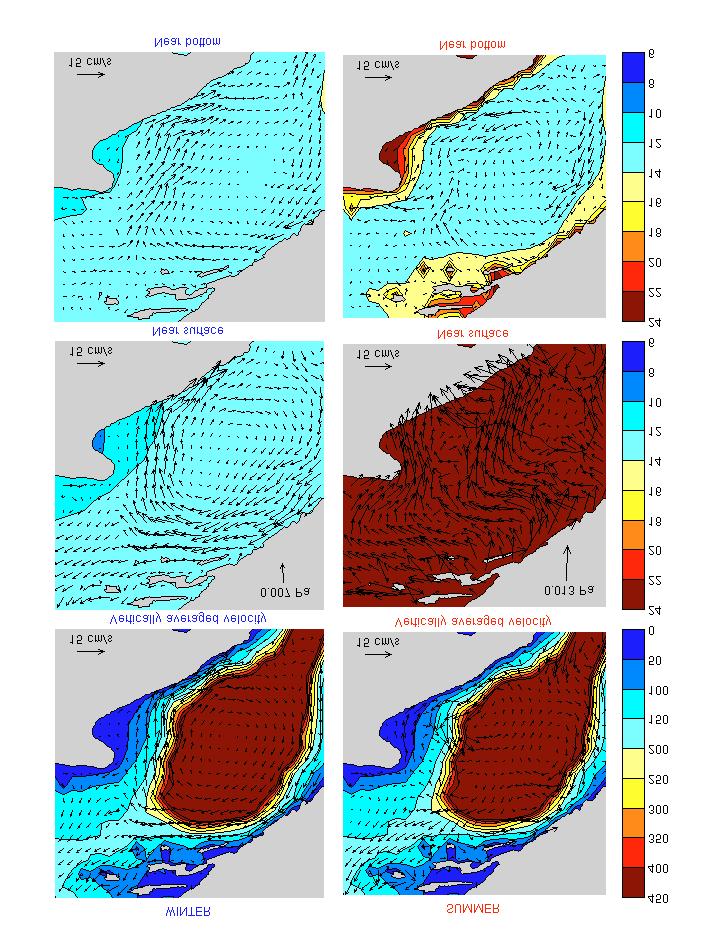 Figure 1: M2 tidal flood currents and the steady currents (tidal residuals + density flow + wind drift) and temperature in the northern Adriatic during the two primary seasons of the year.