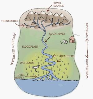 Unit 1: The Earth Lesson 3 2 RIVERS AND LAKES River system 3 1. Work in pairs, look at river system diagram. Read the sentences below and say which four are false.
