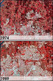 14Detecting Ecosystem Disturbances and Land Cover Change using Data Mining FIGURE 1.7: [In Color.] Urbanization. Between 1982 and 1992 19,000 sq.
