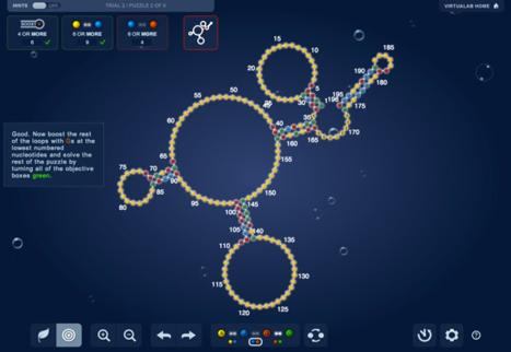EteRNA: RNA design game Similar idea, but: For RNA rather than protein. Goal is RNA design.