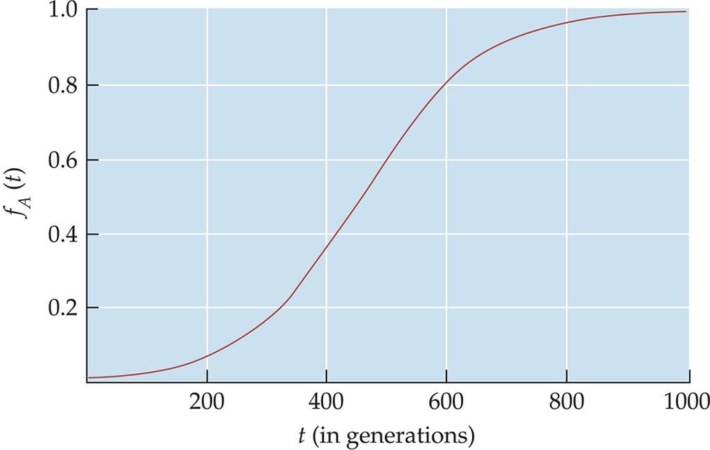 Change in allele frequency due to selection can proceed quickly! v (0) = 0.01, s = 0.