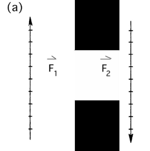 Figure 1.2 Figure 1.2 shows how the two forces in Figure 1.1 can be represented with vectors. Figure 1.2 (a) shows vectors representing the upward force F 1 exerted by the spring balance and the downward gravitational force F 2 individually, while Figure 1.