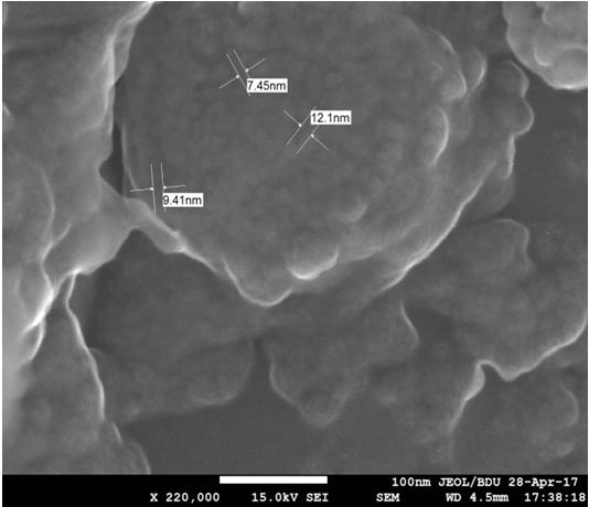 SEM images of PP+PbS/CdS nanocomposites. Figure 7. EDS spectra ofpp+pbs/cds nanocomposite Finally, the photoluminescence properties of the obtained polymer nanocomposites were studied.