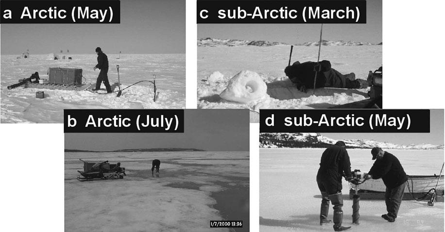 156 Johnston: Properties of decaying first-year ice in the Arctic and sub-arctic Fig. 3. Ice surface conditions at Truro Island (a, b) vs Labrador (c, d).