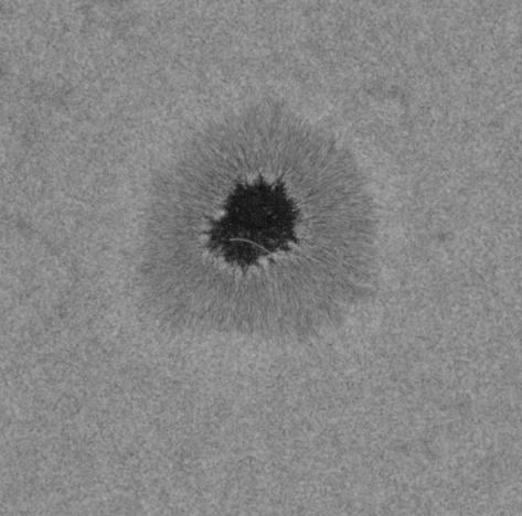 a stable high-resolution observation made by Hinode/SOT was required to find such a tiny node, although it is also possible that only a particular type of sunspots, e.g., round ones with axisymmetric geometry, exhibit such a node-like structure; we need to observe various types of sunspots to investigate the possible geometrical effects.