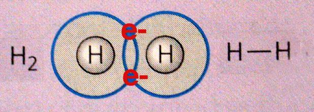 Single Covalent Bonds When atoms share one pair of electrons, each atom contributes one electron to