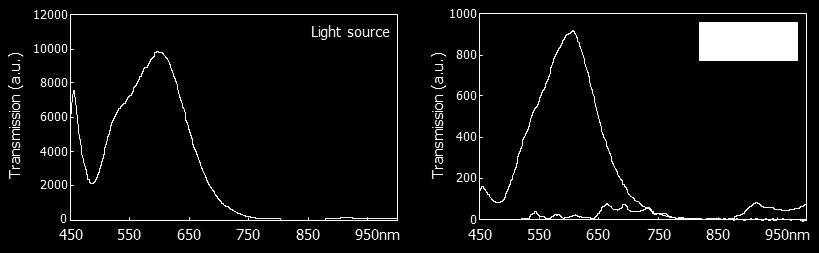 Fiber-coupled-warm white light source (Thorlabs, Cat No.