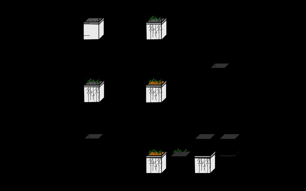Fig. S1. Schematic diagram of plant sample preparation for RNA sequencing. Col-0 plants were grown at 23 o C under long days (LDs) on MS-phytagel media in plastic culture boxes.