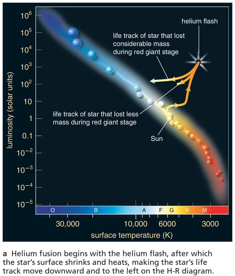 Life Track after Helium Flash Models show that a red giant should