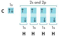 The Octet Rule in Covalent Bonding Single Covalent Bonds Each of the four hydrogen atoms