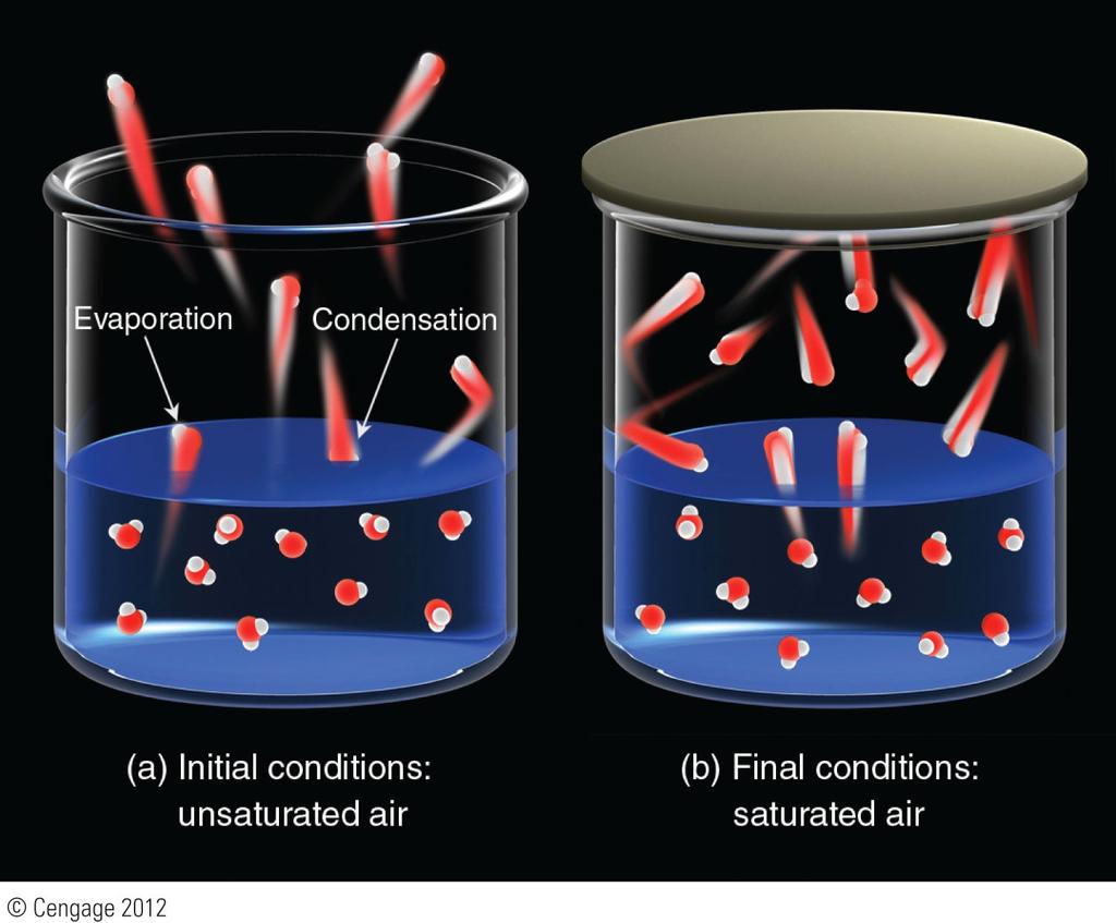 Vapor Pressure at Saturation Evaporation: Transformation of water from the liquid to the vapor state.