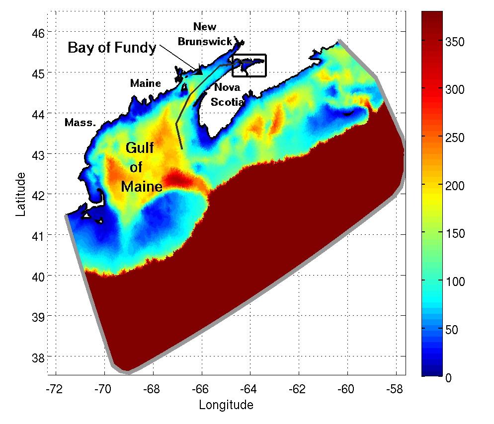 region are driven by the near-resonance of the Bay of Fundy Gulf of Maine system, which has a natural period of approximately 13 hours [5, 9] close to the 1.4 hour period of the forcing tides.