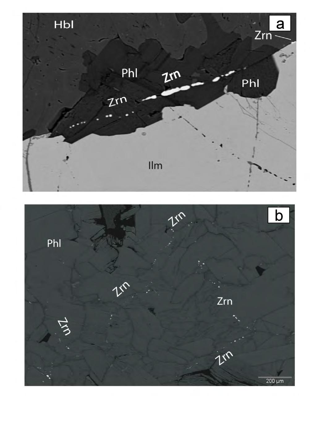 The problem of identifying metasomatism when there is no chemical or physical reference frame. Small zircon crystals are often associated with ilmenite grain boundaries in a wide range of rock types.