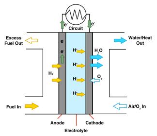 Figure 1.1: Schematic of a typical PEM fuel cell.