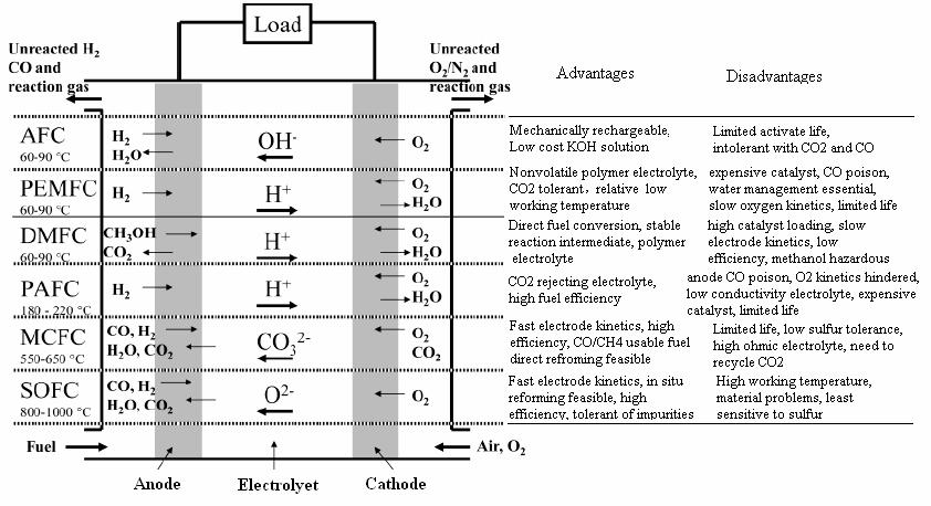 thermodynamics on the operation of fuel cells [1].