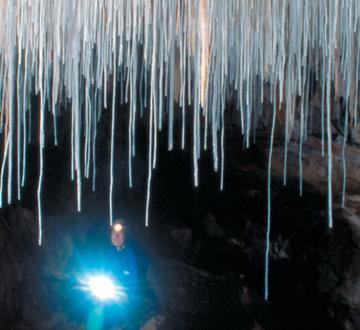 CHEMISTRY & YOU How did soda straws get into limestone caves?
