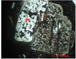 andesite-dacite (under the XPL light). Fig. 8.