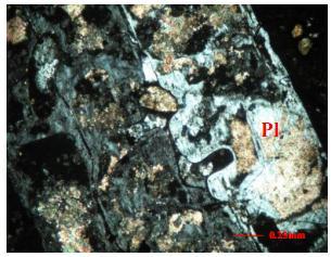 sericite and its transformation from margin to albit in basalt (under