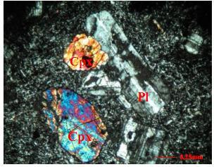 Alternation of plagioclase crystal with carbonate and opaque in the