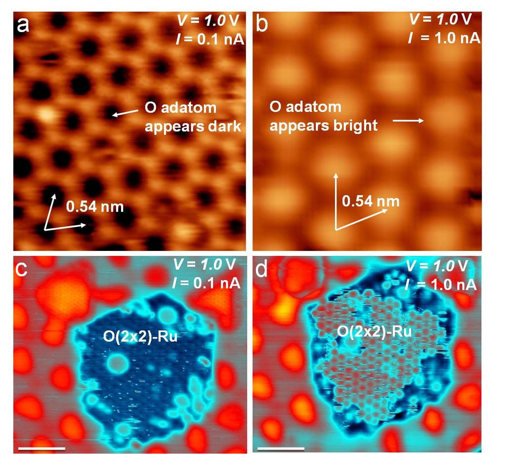 Supplementary Figure S9STM images of a compact (2 2)-O adlayer on Ru(0001).