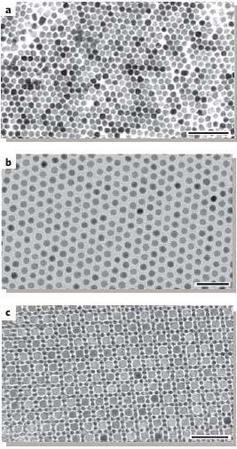 Colloidal growth Kinetic size control: Monodisperse colloidal nanocrystals synthesized under kinetic size control. a, Transmission electron microscopy (TEM) image of CdSe nanocrystals.