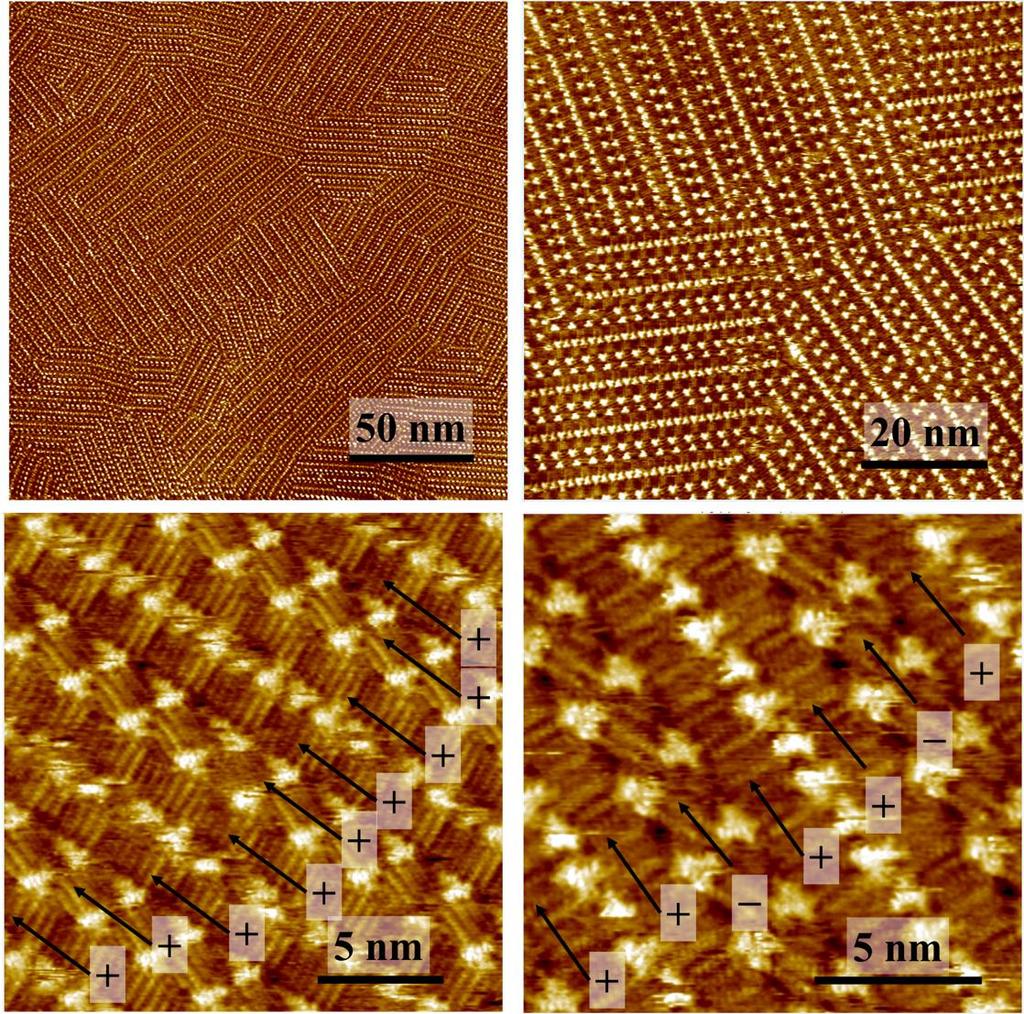 Figure S21: Mixing of DBA-OC14 and DBA-OC15. STM images of a monolayer formed from an equimolar mixture of DBA-OC15 and DBA-OC14 at the octanoic acid/hopg interface upon hot deposition.