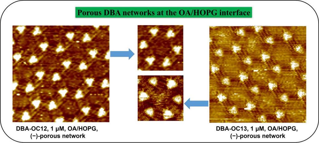 Figure S2: DBA porous networks at the octanoic acid (OA)/HOPG interface. Porous structures of DBAs in octanoic acid are available only at very low concentrations.