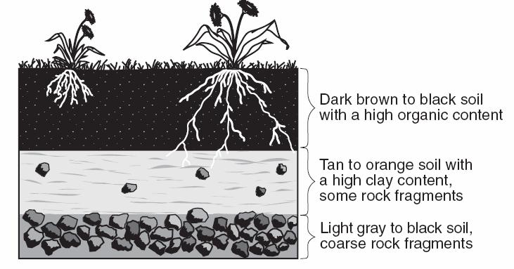 Weathering Erosion Review Use the diagram below to answer questions 1-