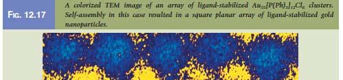 Large Scale Surfaces Generated from Boron Ligand Groups