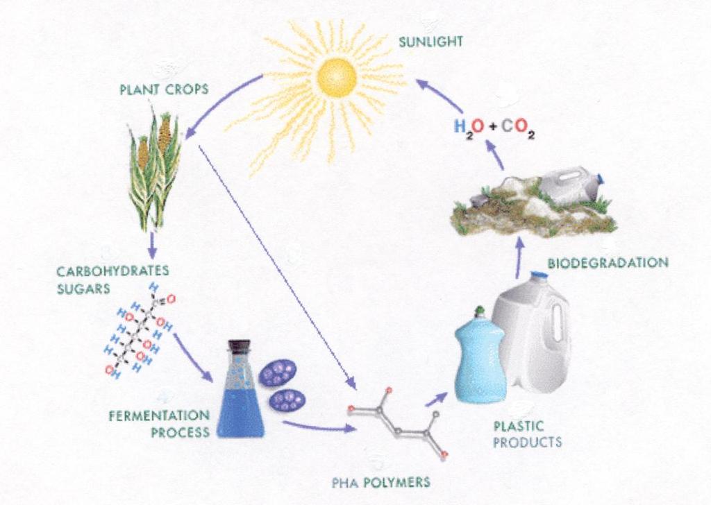 Green nanomaterials Green ingredients: renewable non-toxic degradable Green routes to nanocomposites Sunlight Plant Crops Carbohydrates
