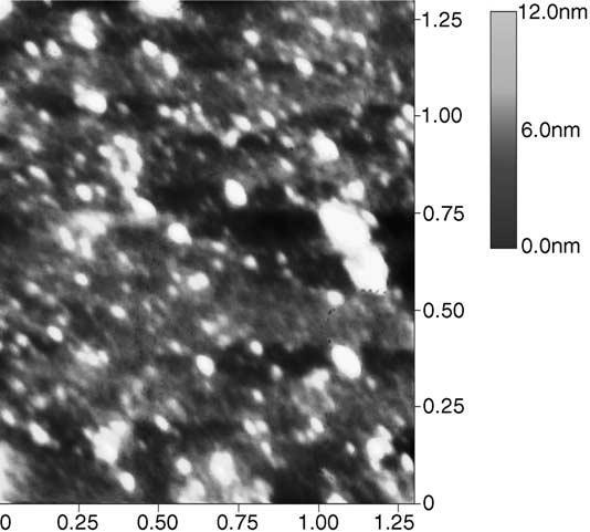 CdS nanoparticles AFM image of starch capped CdS nanoparticles on mica ~10 nm capped CdS nanoparticles have been successfully manufactured by