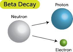 How does Beta Radiation occur? Beta decay occurs when a neutron changes into a proton and an electron.