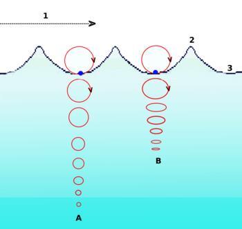 Surface Waves What is a surface wave? A typical wave in the ocean. A particle in the water will move in a circular or elliptical path as the wave passes.