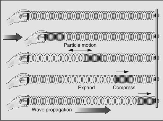 Types of Seismic Waves Two types of (body) Seismic Waves Primary Waves Slinky Secondary Waves Whip Primary Waves: (slinky)