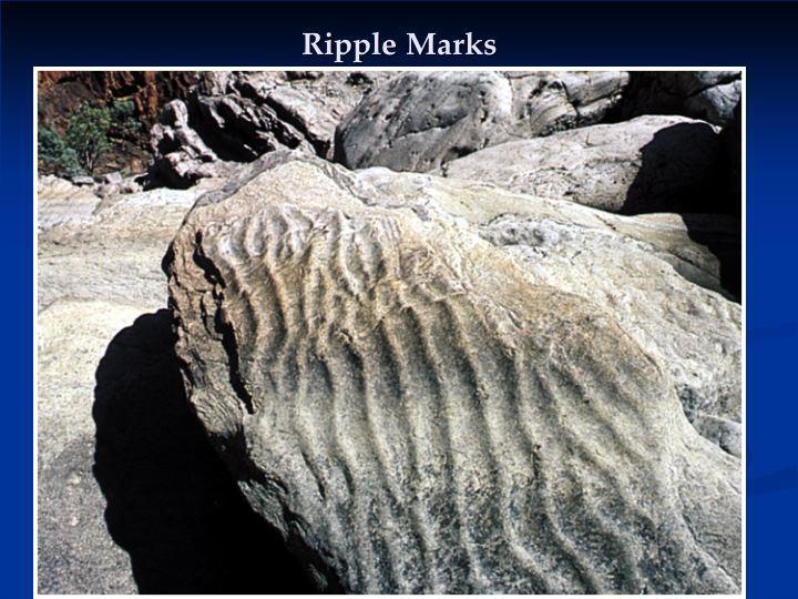 Ripple Marks Small sedimentary features, such as ripple marks form when sediment is moved into small