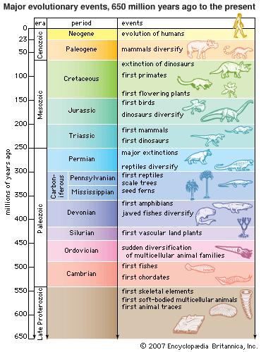 Eons: are the largest intervals of geologic time (100MOYs).