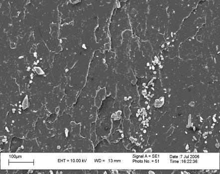 (figure4.8), reveal the pull out of particles from the surface. Many larger clay particles with size range 10 to 30 µm are distributed on the fracture surface of the nanocomposites.