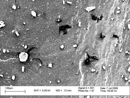 8 SEM images of the fracture surface of the CIIR nanocomposite containing 5 phr of