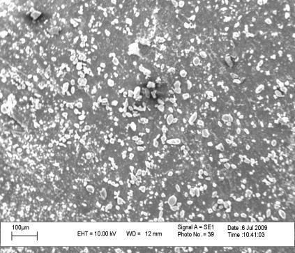 9 SEM images of the fracture surface of the CIIR nanocomposite containing 5 phr of